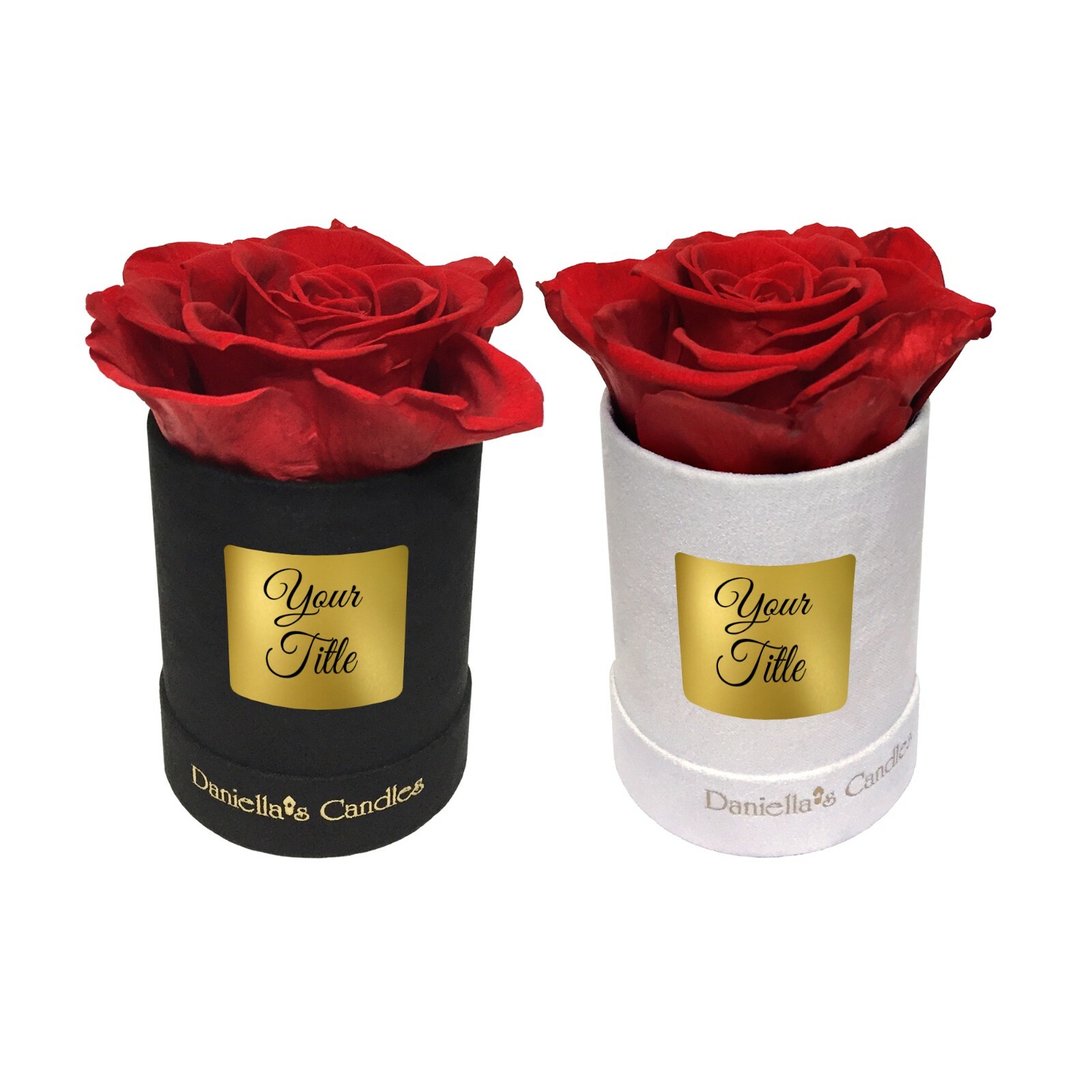 Personalized Single Long Lasting Red Rose In Black Suede Box, Long Lasting