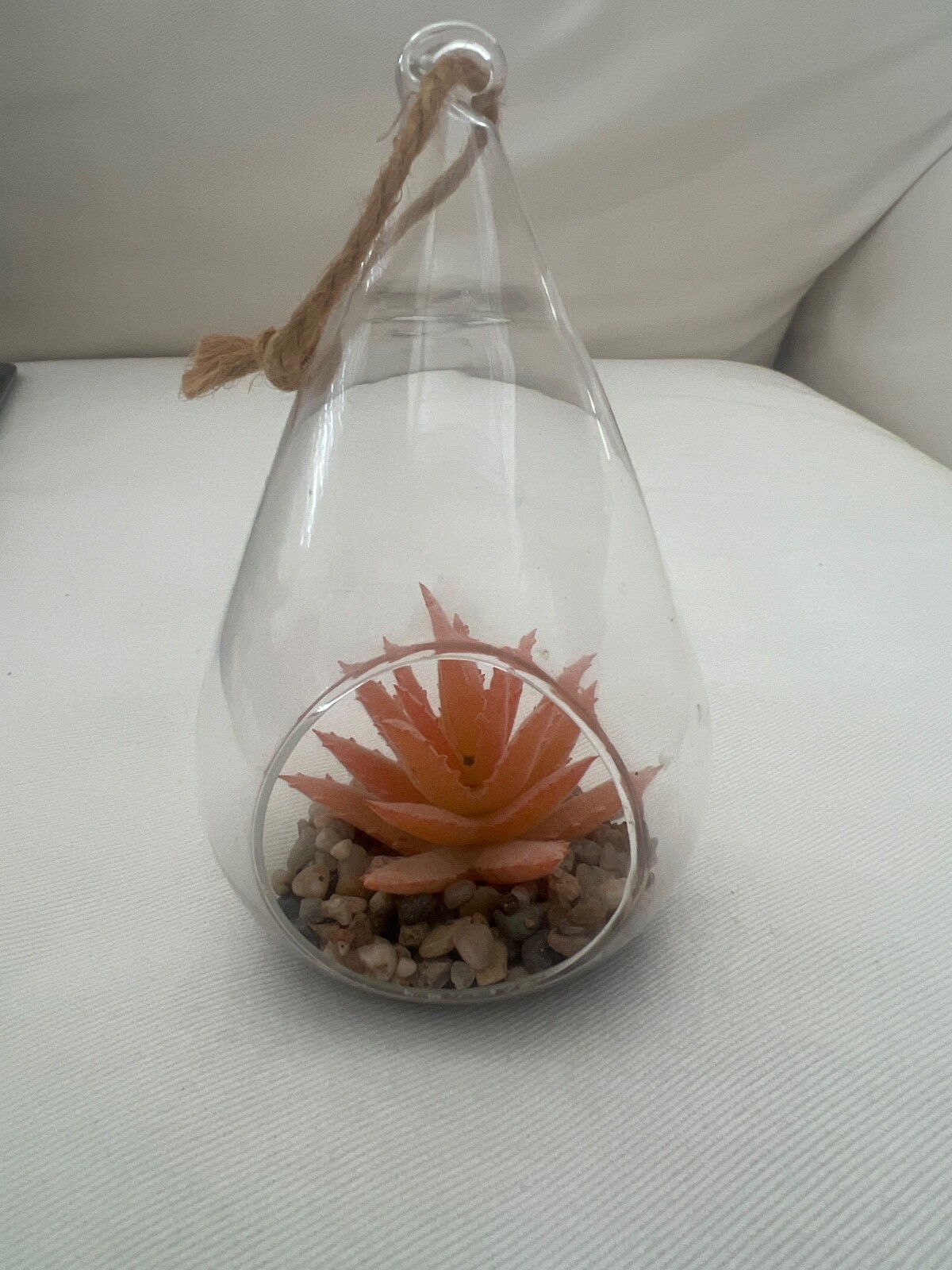 Hanging Glass Dome with Faux Succculent by Ganz