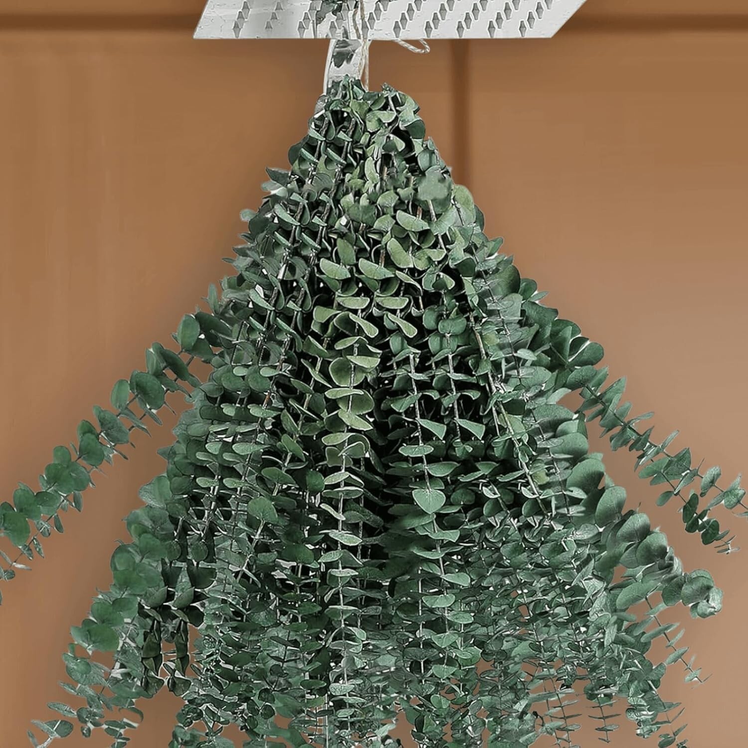 15 Pcs Natural Eucalyptus for Shower Bundle 100% Real Eucalyptus 17″ Dried Pr…