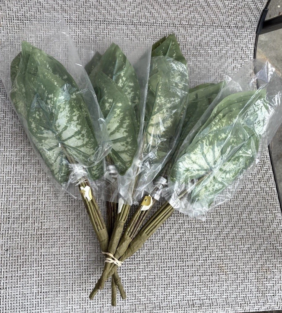 Caladium Bush 16” Faux W/14 6” Leaves 5 Pk Bundle~Green & White Molted Elephant