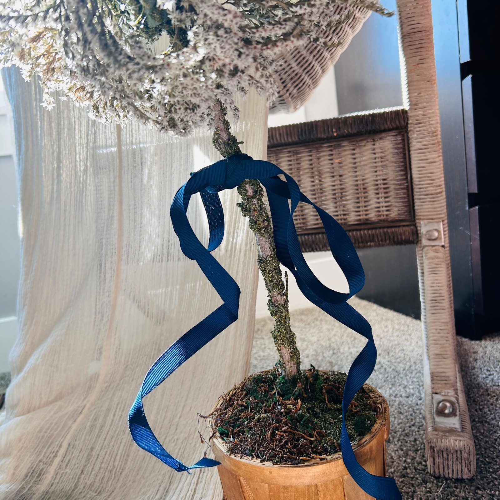 Chinoiserie Potted topiary of dried German statice flowers twisted branches moss