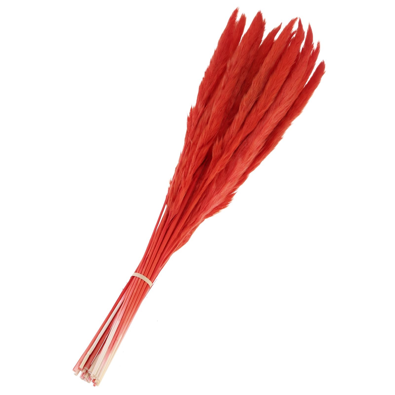 Faux Pampas Grass Decor 17 Inch 43cm Fake Vase Wedding Party Red 30 PCS