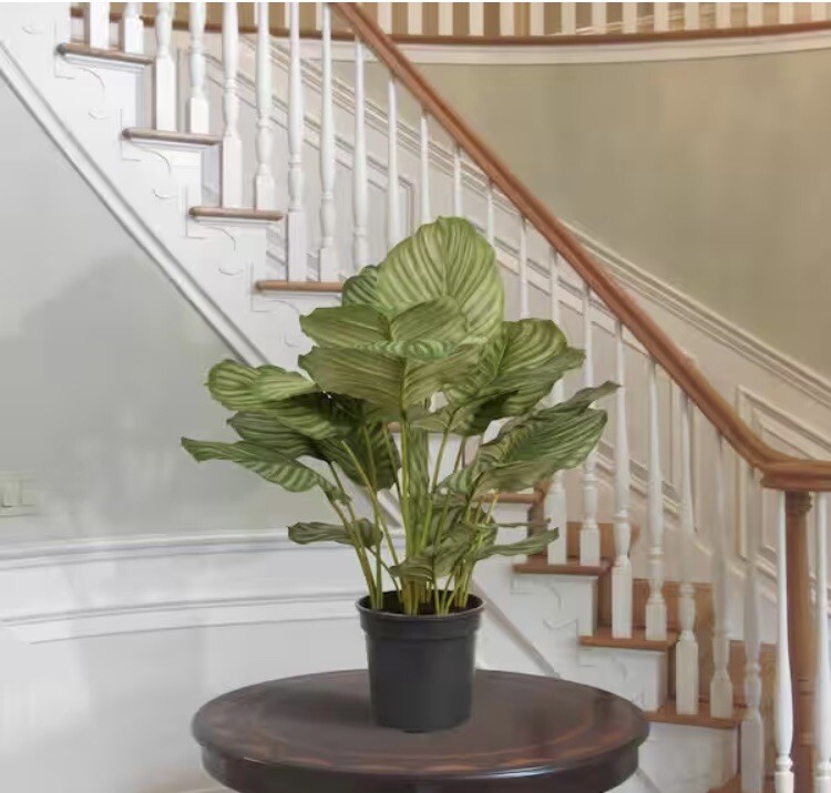 National Tree Company 30 in. Garden Accents Artificial Calathea Potted Plant