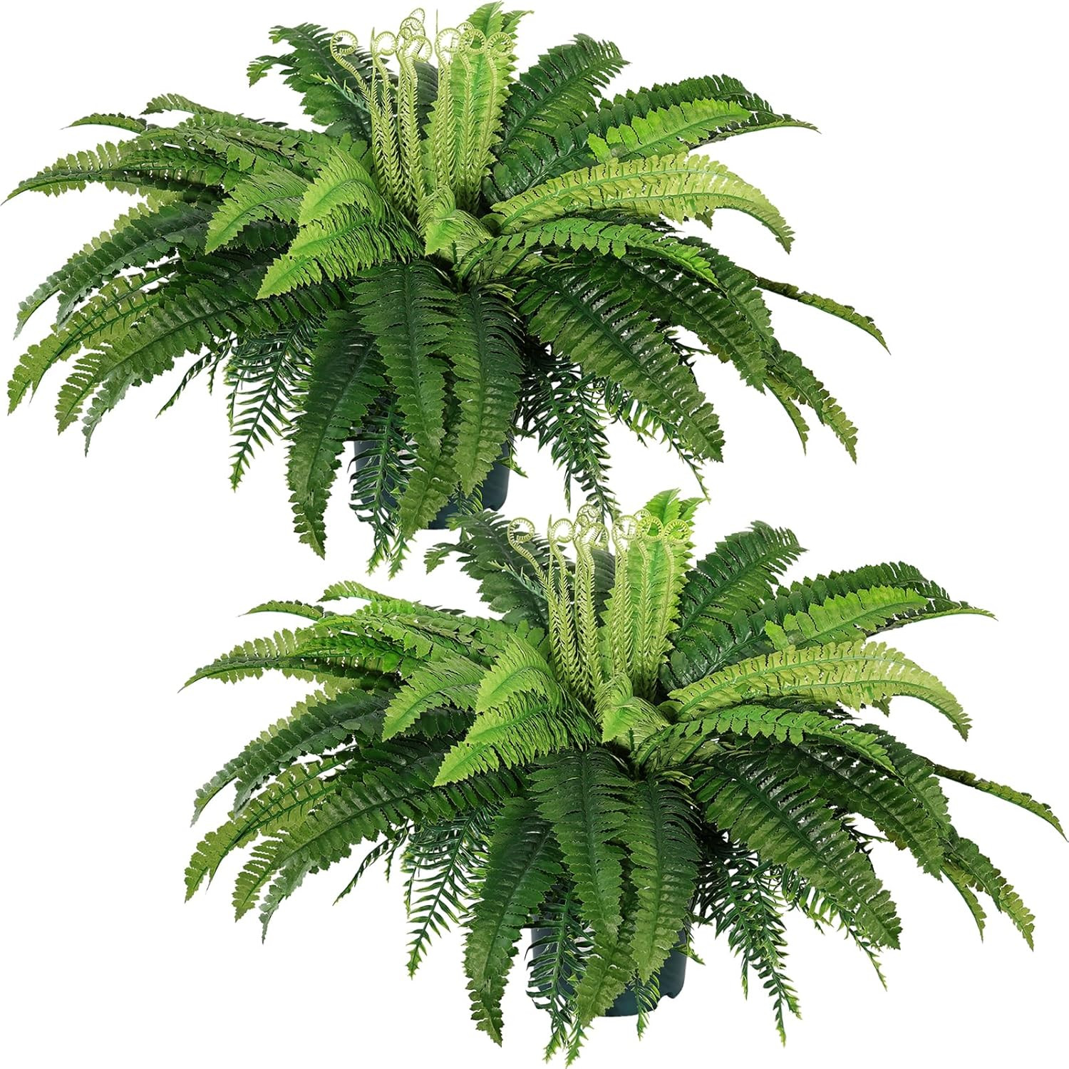 Lifelike Artificial Boston Fern Bush for Home and Office Decor (2-Pack)