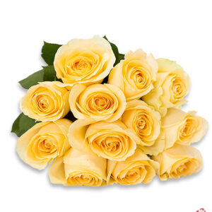 Atelier das Flores - Buquê de 12 Rosas Amarelas