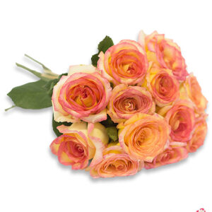 Atelier das Flores - Buquê de 12 Rosas Matizadas