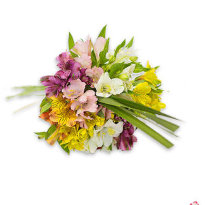 Atelier das Flores - Buquê de Astromélias