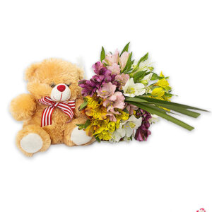 Atelier das Flores - Buquê de Astromélias e Pelúcia