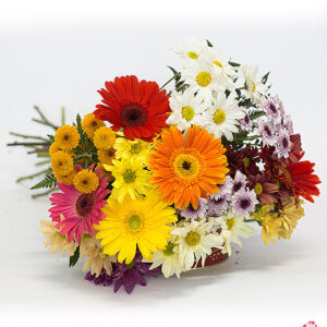 Atelier das Flores - Buquê de Flores do Campo e Gérberas