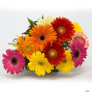 Atelier das Flores - Buquê de Gérberas