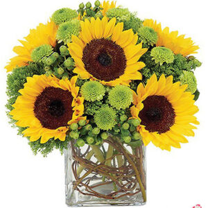 Atelier das Flores - Arranjo Raio de Sol