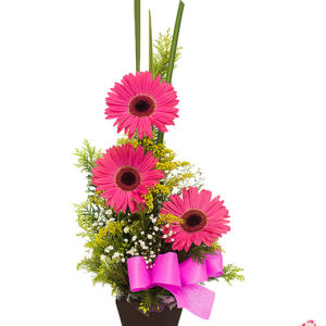 Atelier das Flores - Arranjo de Gérberas Rosas