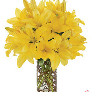 Atelier das Flores - Arranjo de Lírios Amarelos