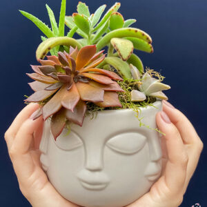 Atelier das Flores - Arranjo de Suculentas