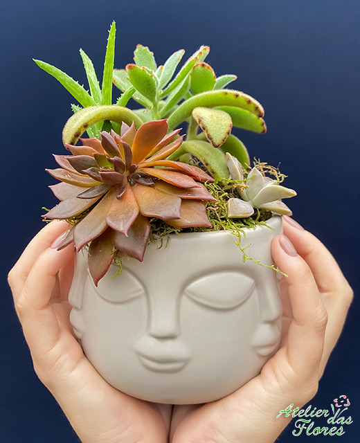 Atelier das Flores - Arranjo de Suculentas