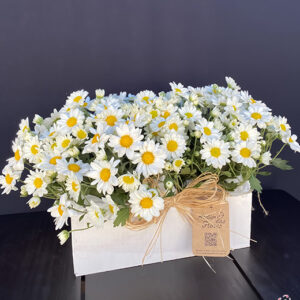 Atelier das Flores - Cachepô de Margaridas