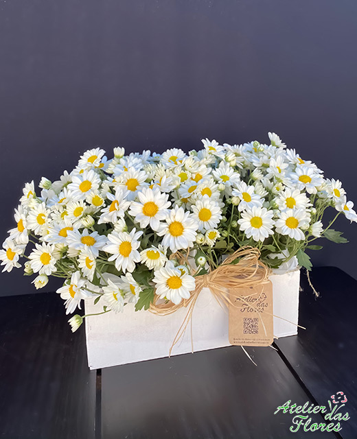 Atelier das Flores - Cachepô de Margaridas