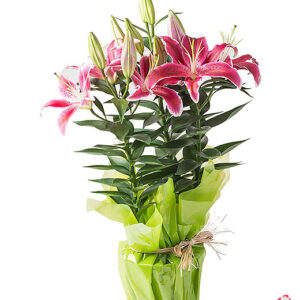 Atelier das Flores - Vaso de Lírios