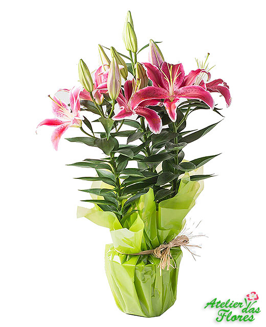 Atelier das Flores - Vaso de Lírios