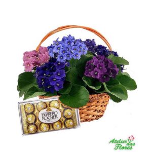 Atelier das Flores - Cesta de Violetas e Chocolate