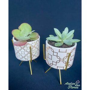 Atelier das Flores - Conjunto Dourado de Suculentas