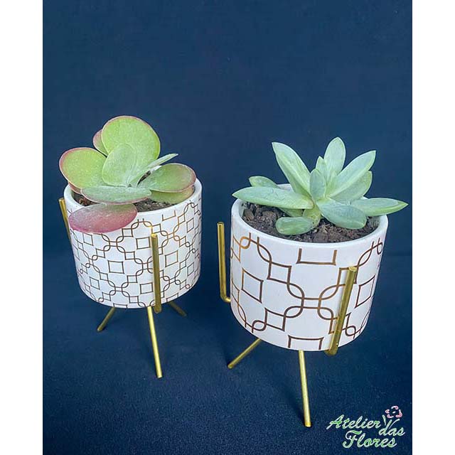 Atelier das Flores - Conjunto Dourado de Suculentas