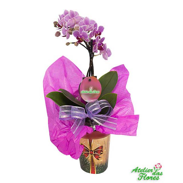 Atelier das Flores - Mini Orquídea
