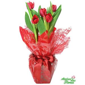 Atelier das Flores - Vaso de Tulipas