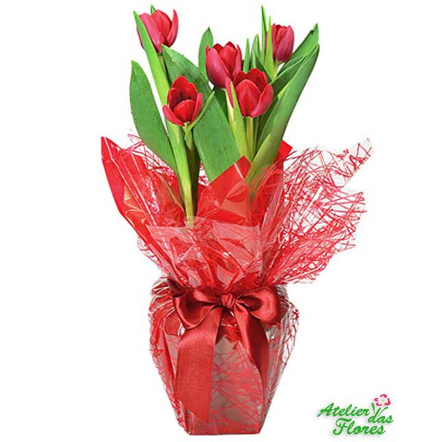 Atelier das Flores - Vaso de Tulipas