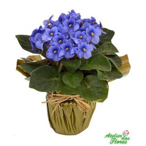 Atelier das Flores - Vaso de Violeta