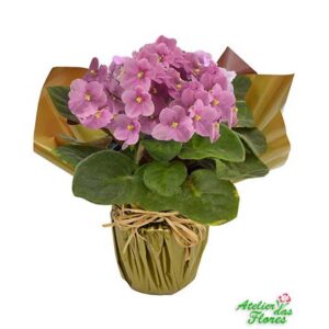 Atelier das Flores - Vaso de Violeta Rosa